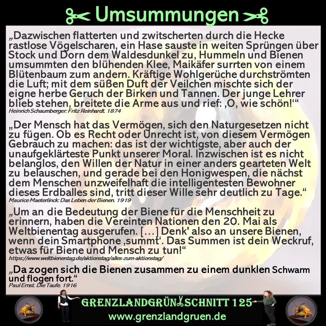 125 Umsummungen.jpg